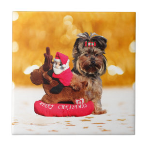 Carreau Cute Yorkshire Terrier Joyeux Noël