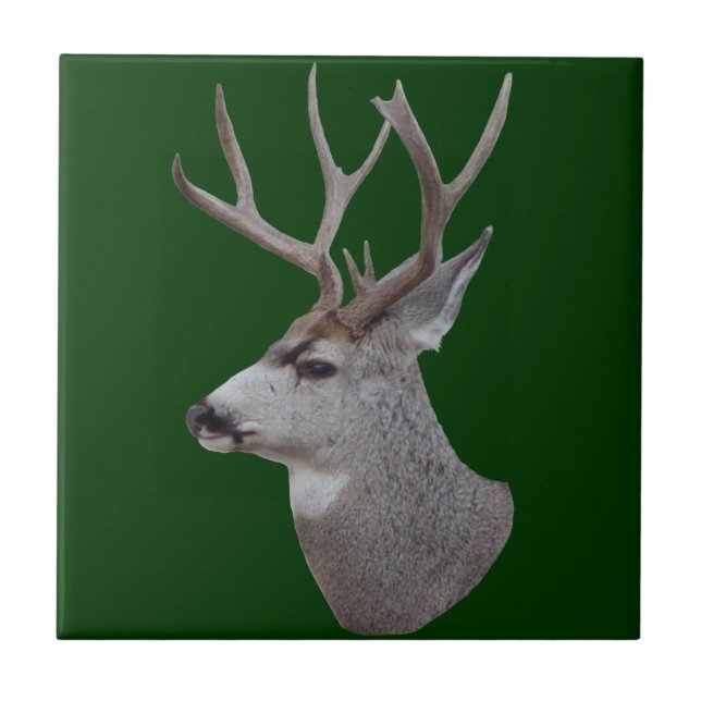 Carreau D27 Mule Deer Buck (Devant)