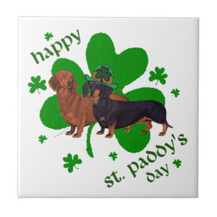 Carreau Dachshunds Saint-Patrick