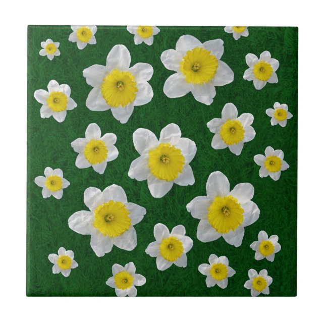 Carreau Daffodiques de printemps (Devant)