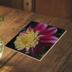 Carreau Dahlia Anémone Rose Floral