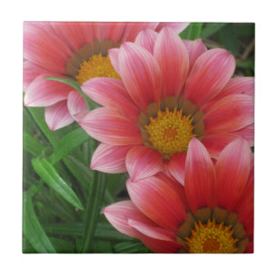 Carreau Daisy africain