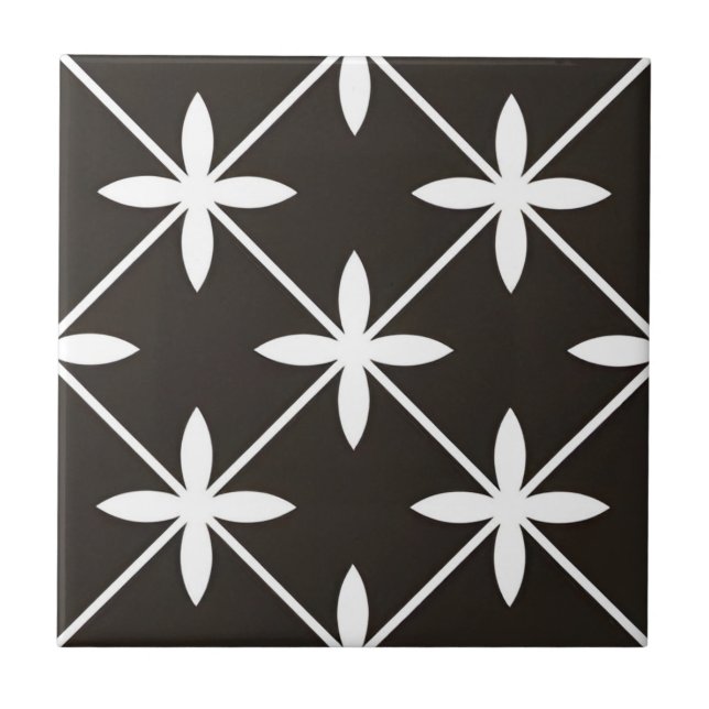 Carreau dalles d'art du ventilateur en étoile noire (Devant)