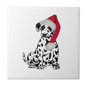 Carreau Dalmatie de Noël