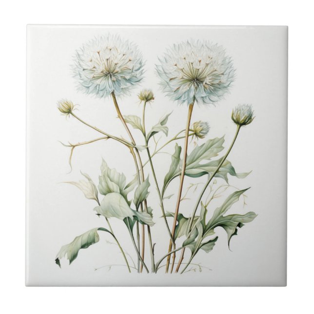 Carreau Dandelion (Devant)