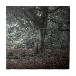 Carreau Dans la forêt de contes de fées