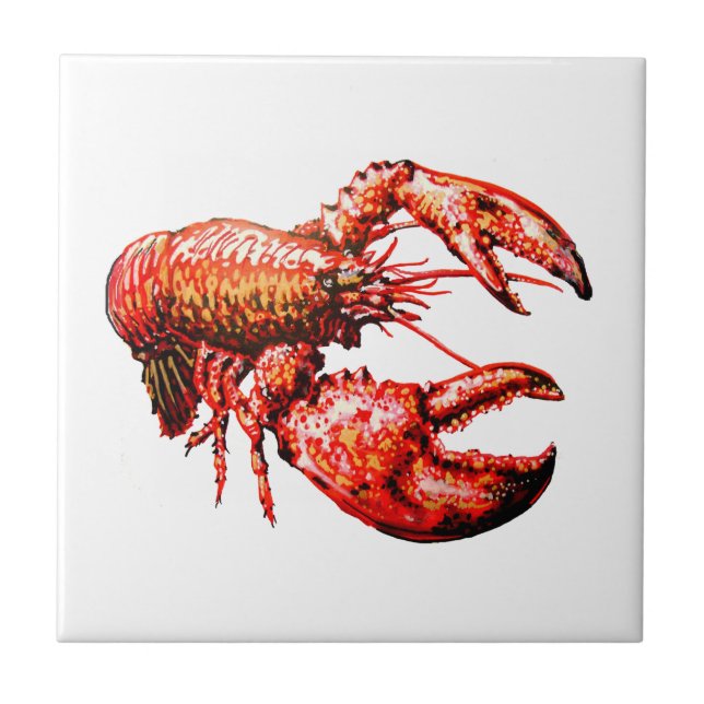 CARREAU DANS LES GRIFFES (Devant)