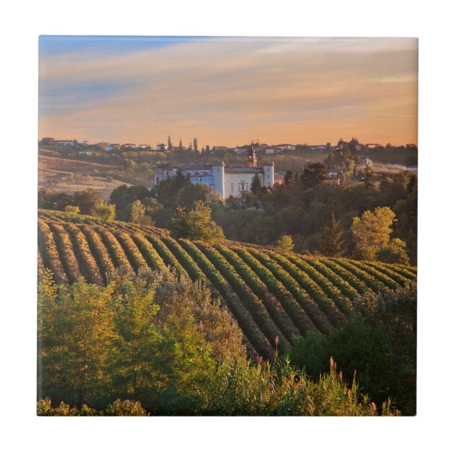 Carreau d'Asti de Costilgiole, Piémont, Italie (Devant)