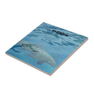 Carreau Dauphin gris nage sous l'eau