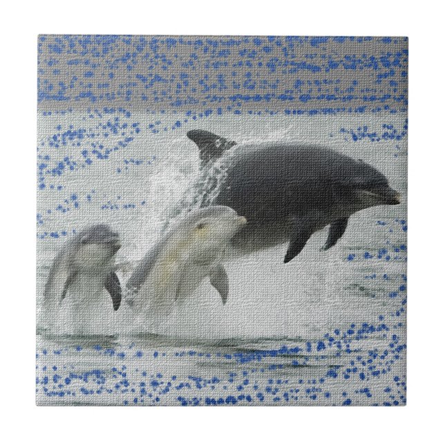 Carreau Dauphins (Devant)