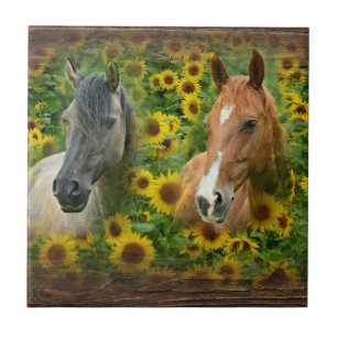 Carreau De beaux chevaux dans le champ de tournesols