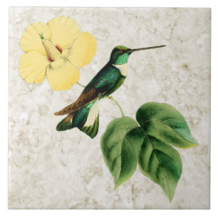 Carreau de céramique colleté de colibri d'Inca