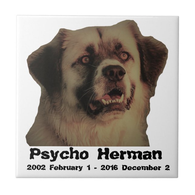 Carreau de céramique commémoratif psychopathe de (Devant)