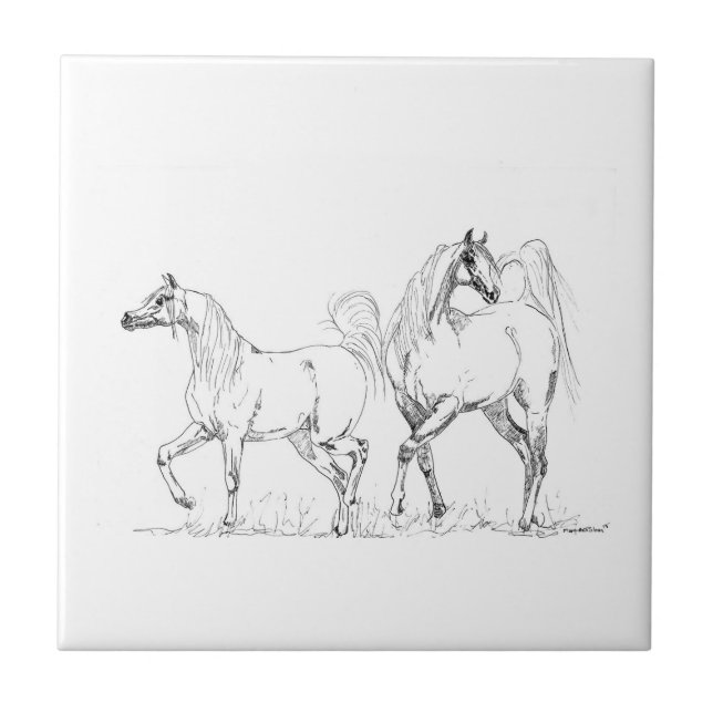 Carreau de céramique de cheval Arabe - chevaux (Devant)