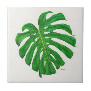 Carreau de céramique de feuille tropicale de