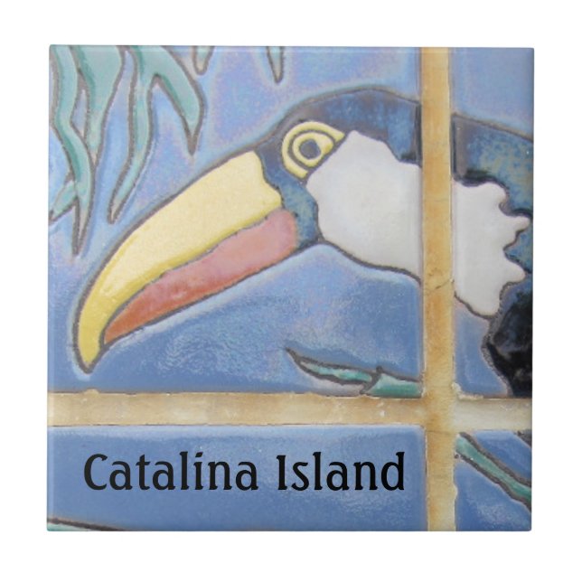 CARREAU DE CÉRAMIQUE DE L'ÎLE CATALINA FACE DE CAT (Devant)
