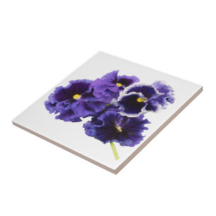 Carreau de céramique de pensée pourpre