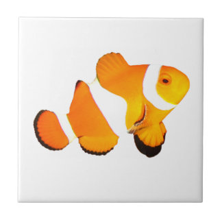 Carreau de céramique de poissons de clown