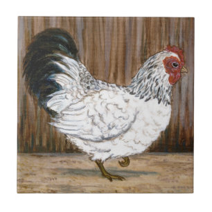 Carreau de céramique de poulet blanc