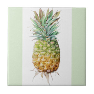 Carreau de céramique de texture de grès d'ananas