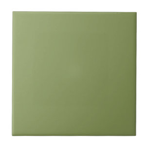 Carreau de céramique de vert de mousse
