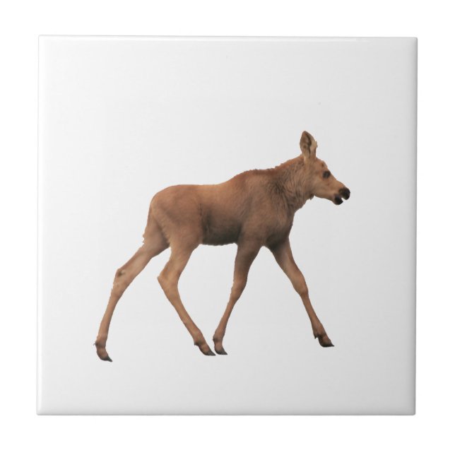 Carreau de céramique des orignaux de bébé (Devant)