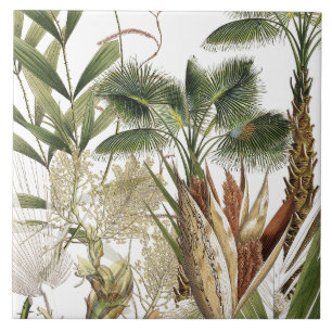 Carreau de céramique d'île de frondes tropicales