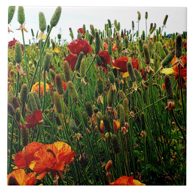 Carreau de céramique floral : Gisements de fleur, (Devant)