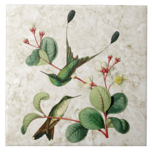 Carreau de céramique initialisé de colibris de