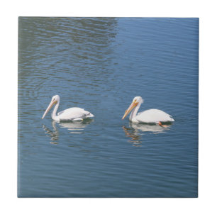 carreau de couple pélican