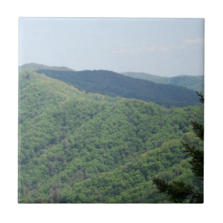 Carreau de dessous de plat des montagnes enfumées 
