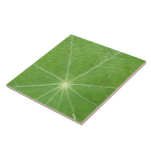 Carreau de feuilles de Nasturtium