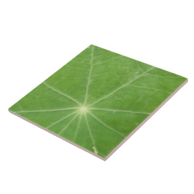 Carreau de feuilles de Nasturtium (Côté)