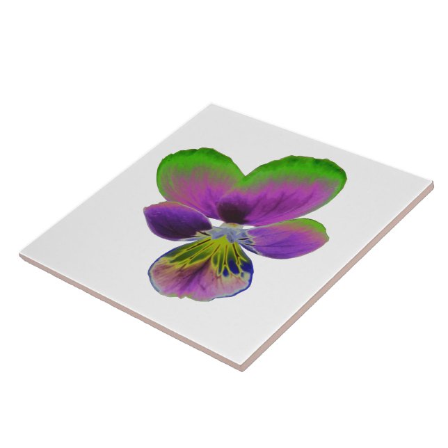 Carreau de Pensée Violet et Vert (Côté)