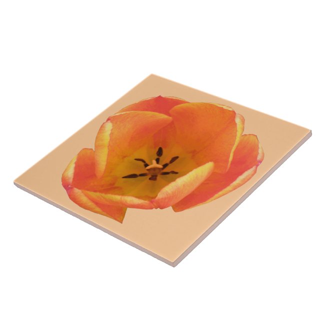 Carreau de tulipe orange (Côté)
