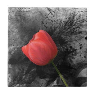 Carreau de tulipe rouge