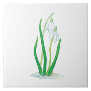 Carreau Début du printemps