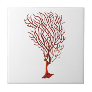 Carreau Décor nautique chaud du corail no.5 de la Mer