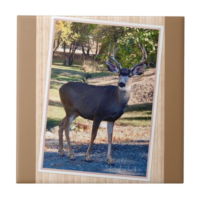 Carreau Deer Love (Devant)
