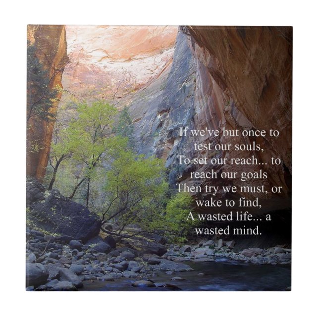 Carreau Définition des objectifs Inspiration (Devant)