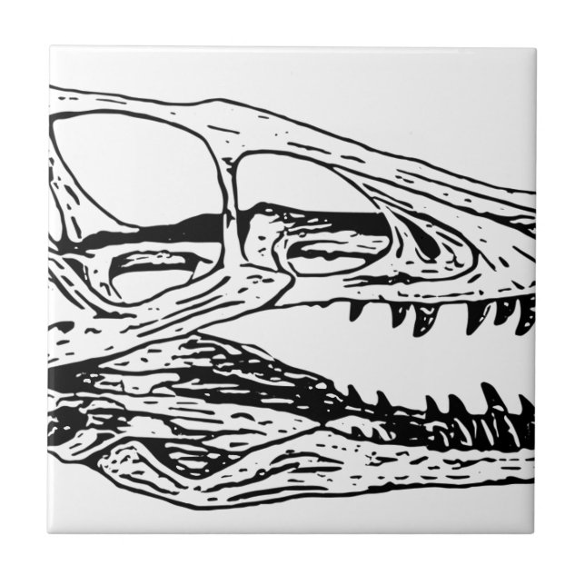 Carreau Deinonychus (Devant)