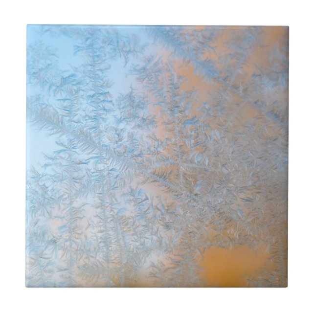 Carreau Délicat motif au gel, Wisconsin (Devant)