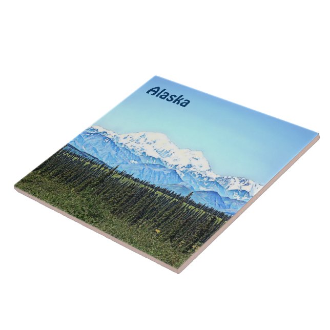 Carreau Denali (Mt. McKinley) (Côté)