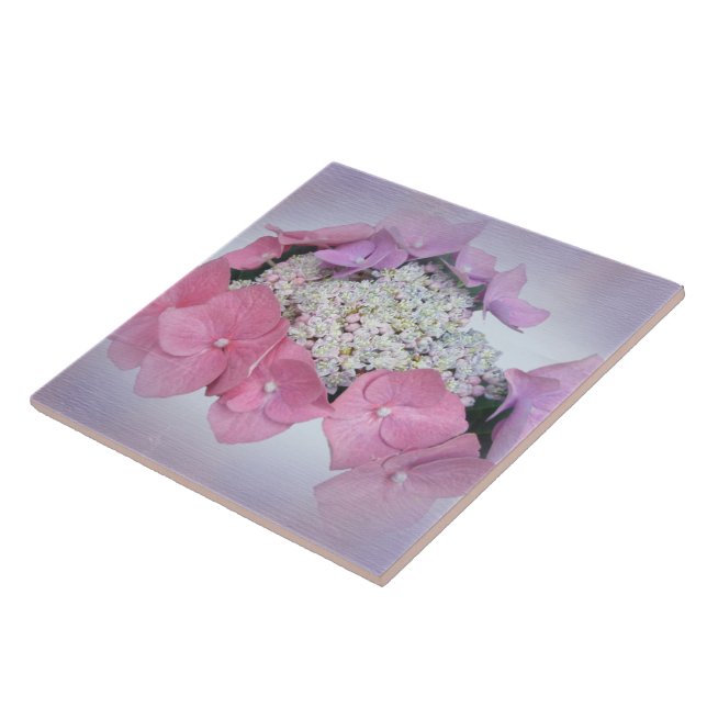 Carreau Dentelles rose et violet Casquette Hydrangea Fleur (Côté)