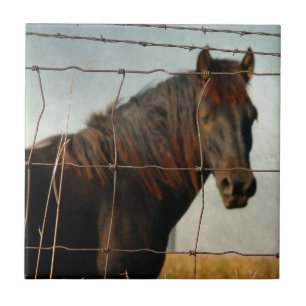 Carreau Derrière la clôture, cheval abstrait