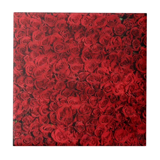 Carreau Des centaines de belles roses rouges (Devant)