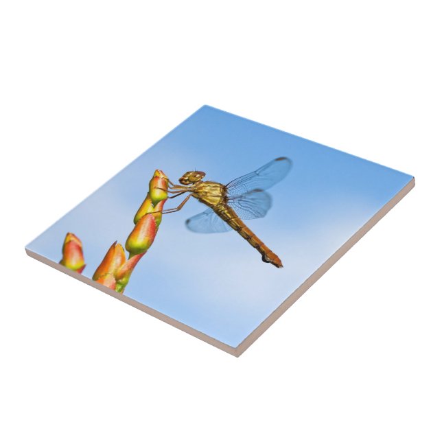 Carreau des kilomètres derrière moi (Côté)