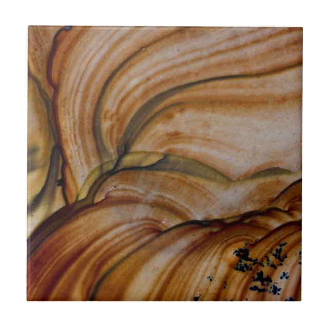 Carreau Deschutes Jasper de couleur Brown (Devant)
