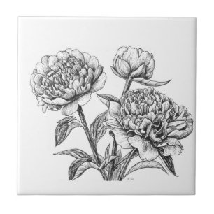 Carreau Dessin à encre de rose