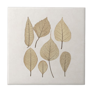 Carreau Dessin botanique naturaliste vintage   Feuille 185